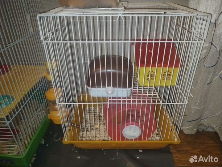 Хомяк с клеткой