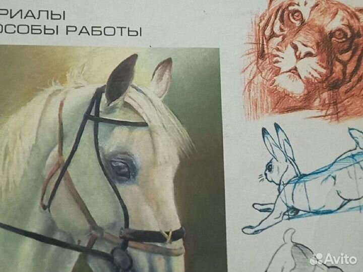 Детские книги пакетом