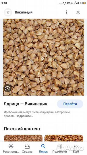 Зеленая гречка