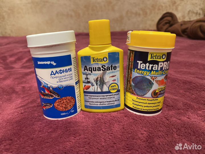 Живой корм для аквариумных рыб