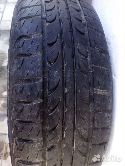 Tunga Zodiak 2 175/65 R14