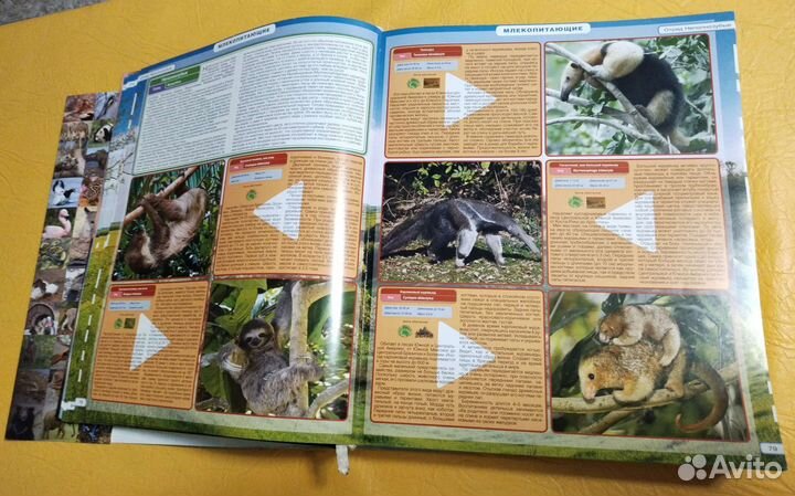 Энциклопедия животных Роосса