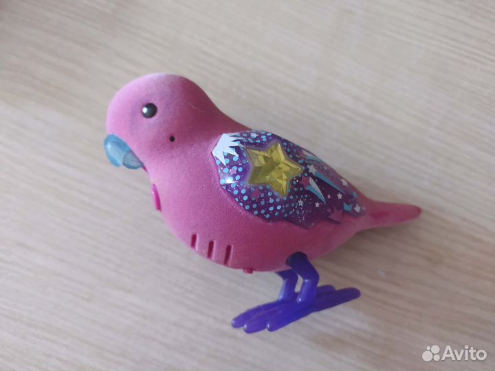 Птичка поющая