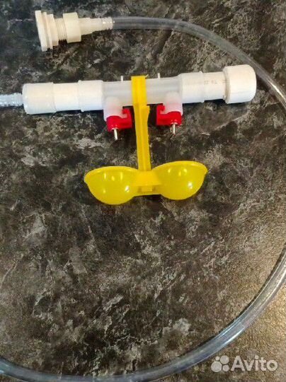 Поилка для кур