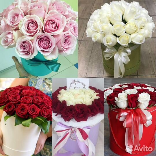 Розы в коробке в школу детям учителям