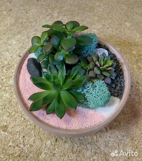 Цветочная композиция из суккулентов