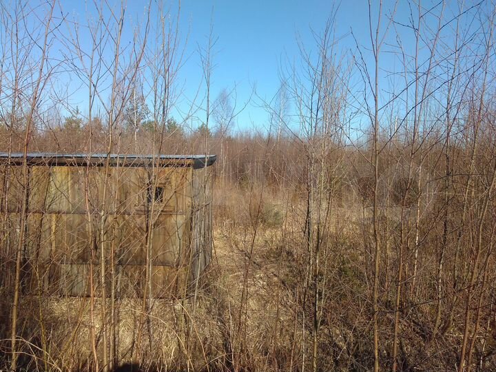 Участок 10 сот. (СНТ, ДНП)