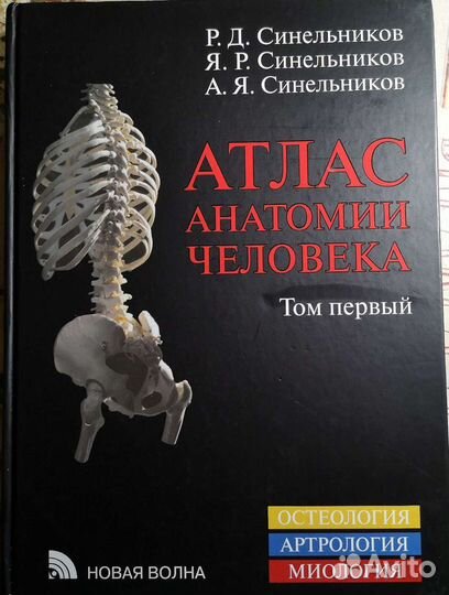 Атлас анатомии человека Синельников