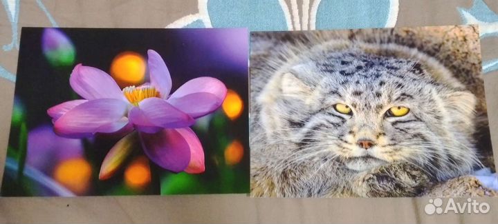 Открытки любые