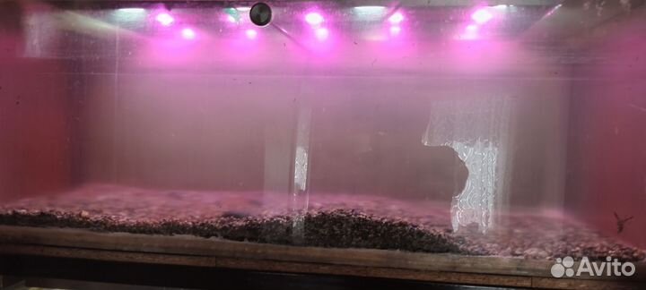 Аквариум