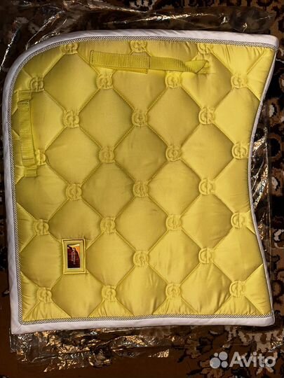 Equestrian stockholm выездка