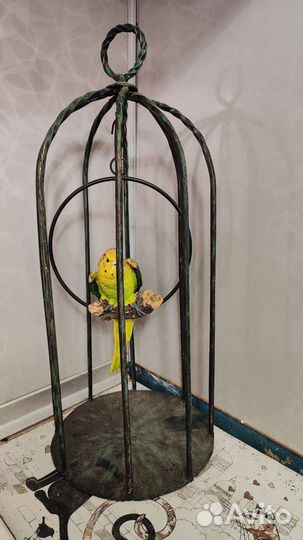 Клетка кованая с фигуркой попугая