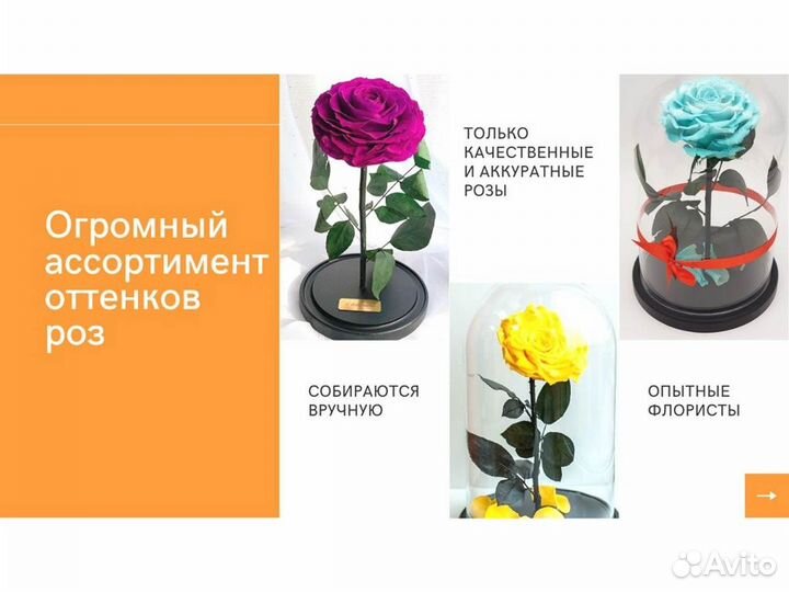 Розы в колбе разные