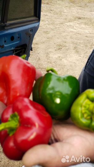 Баклажаны и перец