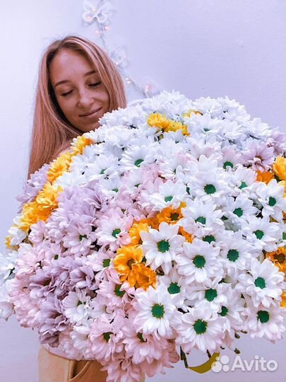 Ромашки 25шт, 35шт, 51шт, 101шт