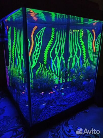 Аквариум. Зеленоград