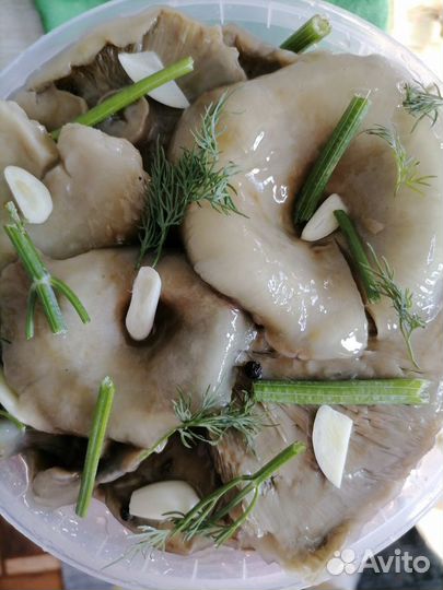 Грибы грузди соленые, маслёнок солено-маринованный