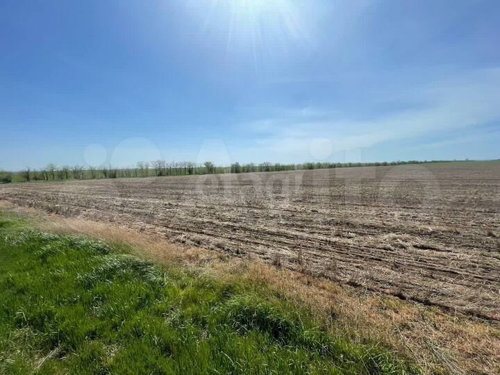 Участок 23,88 га (СНТ, ДНП)