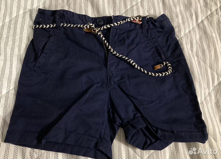 Шорты акула