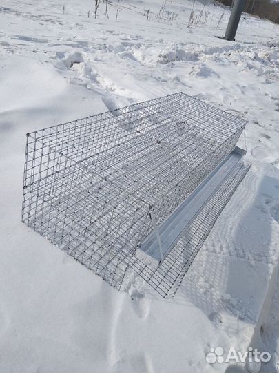 Клетка для перепелов