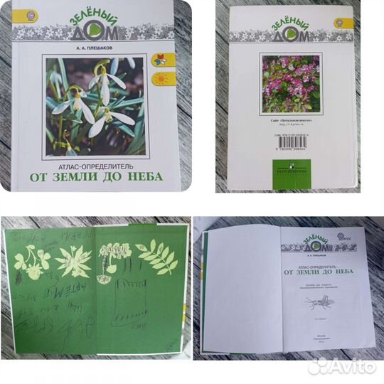 Плешаков зеленые страницы