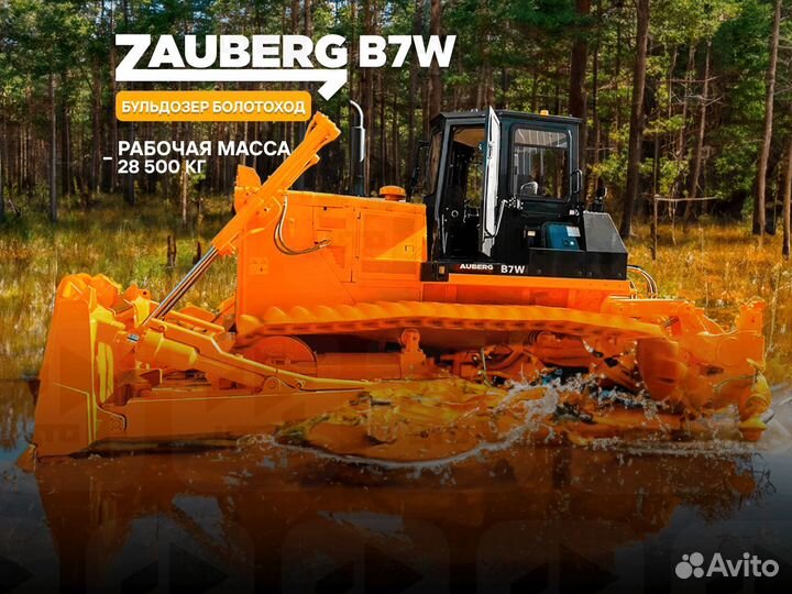 Zauberg B7W, 2023
