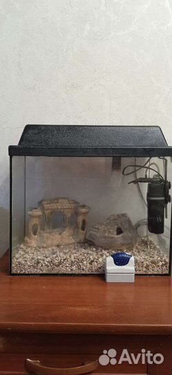 Аквариум