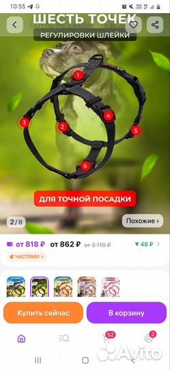 Шлейка с поводком