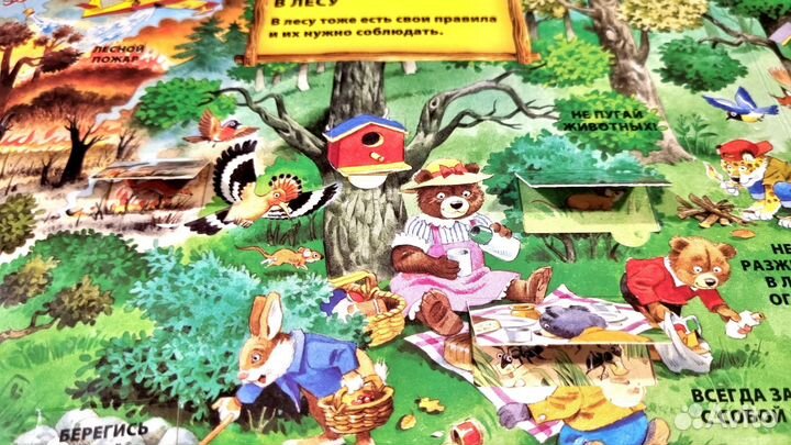 Книга 1000 окошек В лесу, художник Тони Вульф