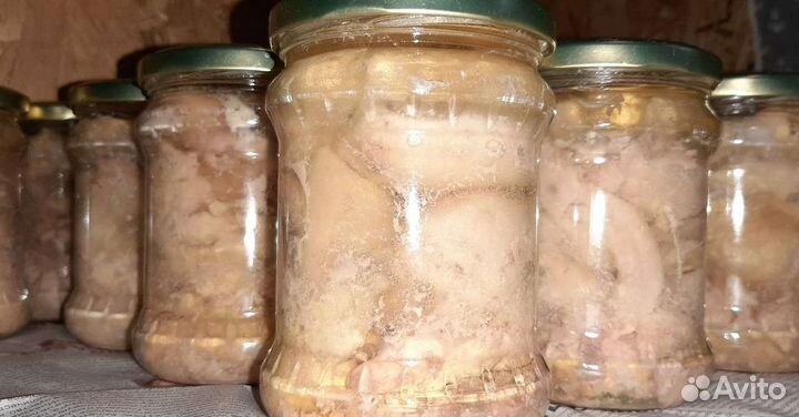 Печень трески премиум Мурманск опт