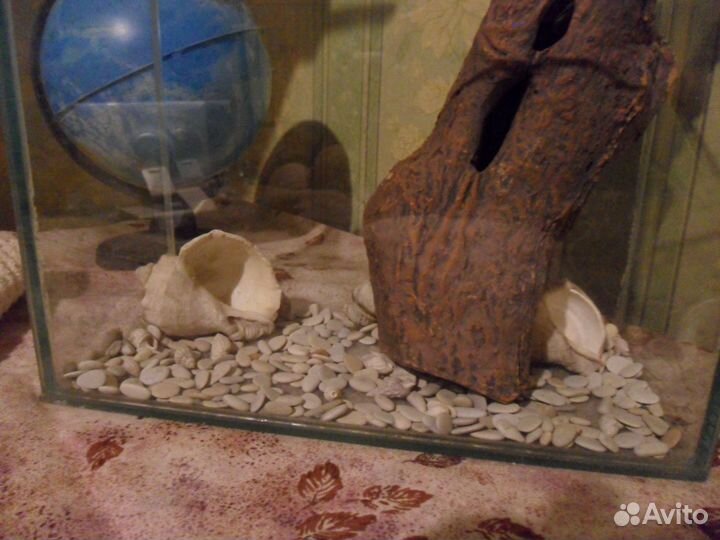 Черное море. Грот