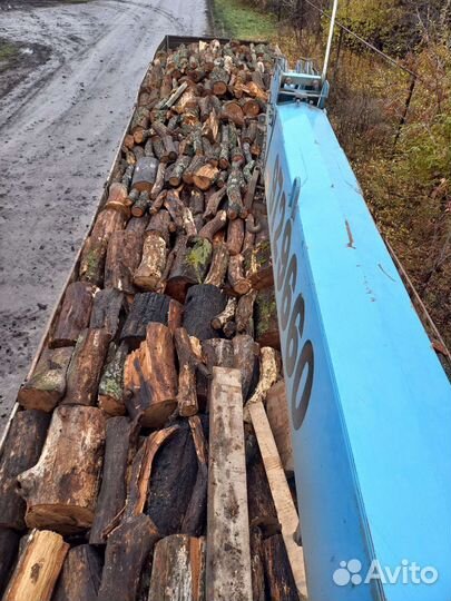 Дрова дубовые