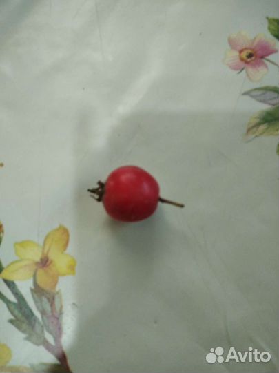 Боярышник плоды