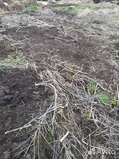 Перегной чернозем навоз