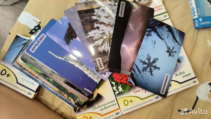 Умница мир на ладошке. Обучающие карточки