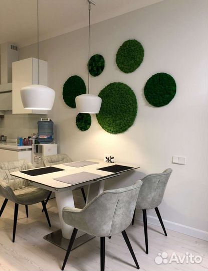 Панно из стабилизированного мха круглое