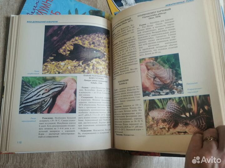 Аквариумные рыбки, растения и т.д