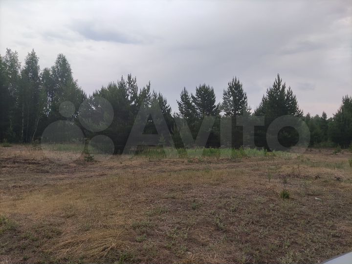 Участок 42,16 га (СНТ, ДНП)
