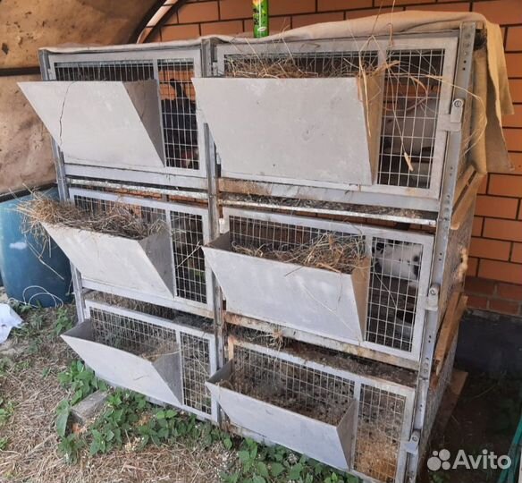 Клетки для кроликов бу
