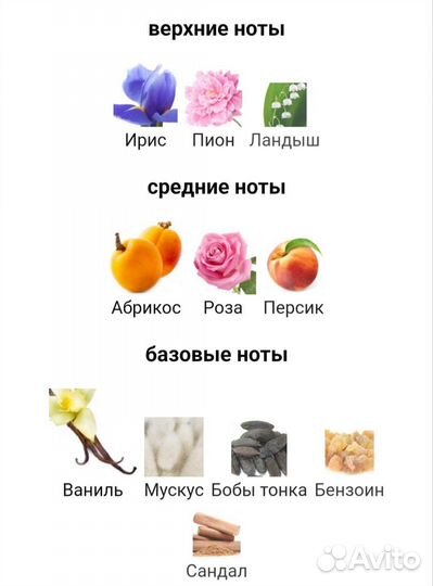 Miss dior eau de parfum