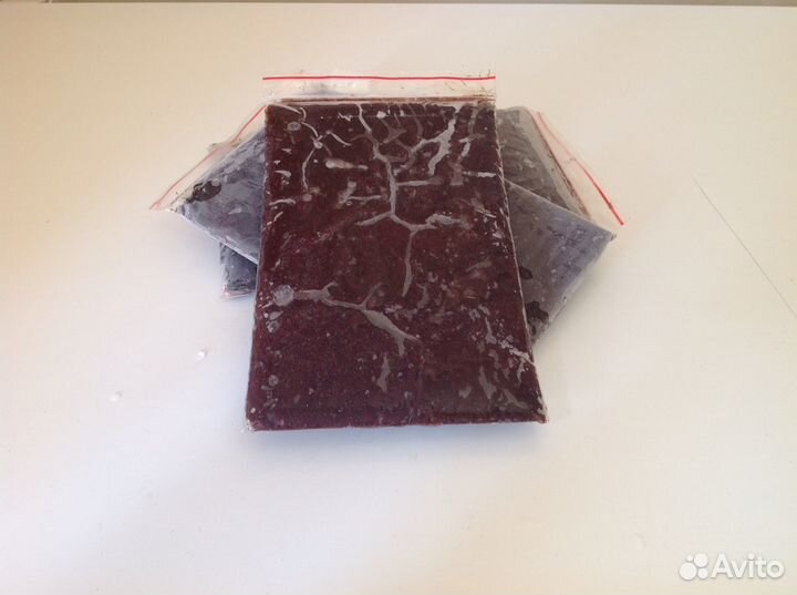 Корм для рыб