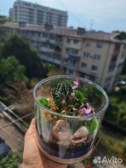 Флорариум мини букет