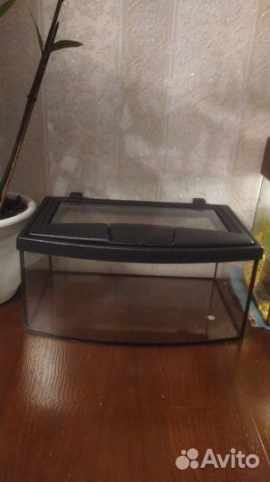 Аквариум 20 литров