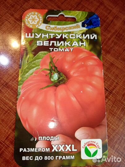 Рассада помидор