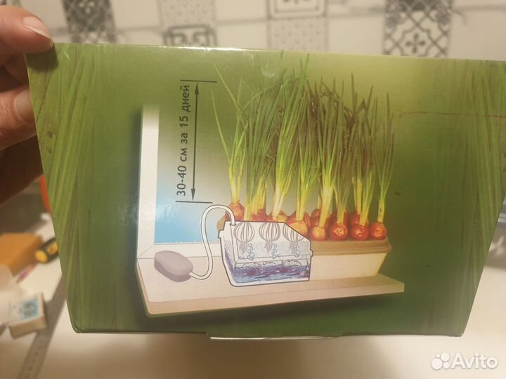 Гидропонная установка для выращивания лука на перо