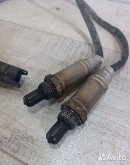 Лямда зонд BMW X5 E53
