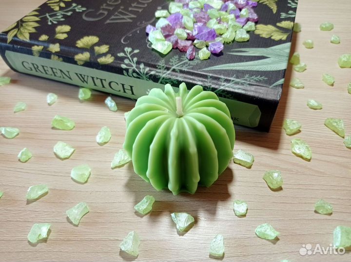 Свеча из соевого воска. Прикольный кактус