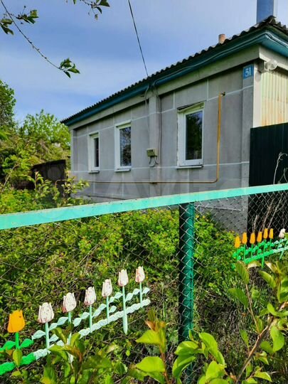 Дом 58,9 м² на участке 50 сот.