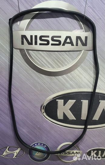 Уплотнитель проема двери зад nissan teana J32 Прав