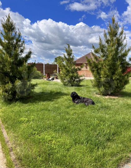 Дом 200 м² на участке 18 сот.